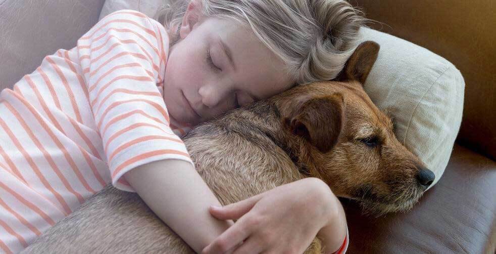 Child and pet cuddling